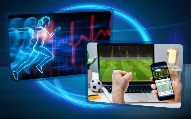 Find out about Web Sports Betting